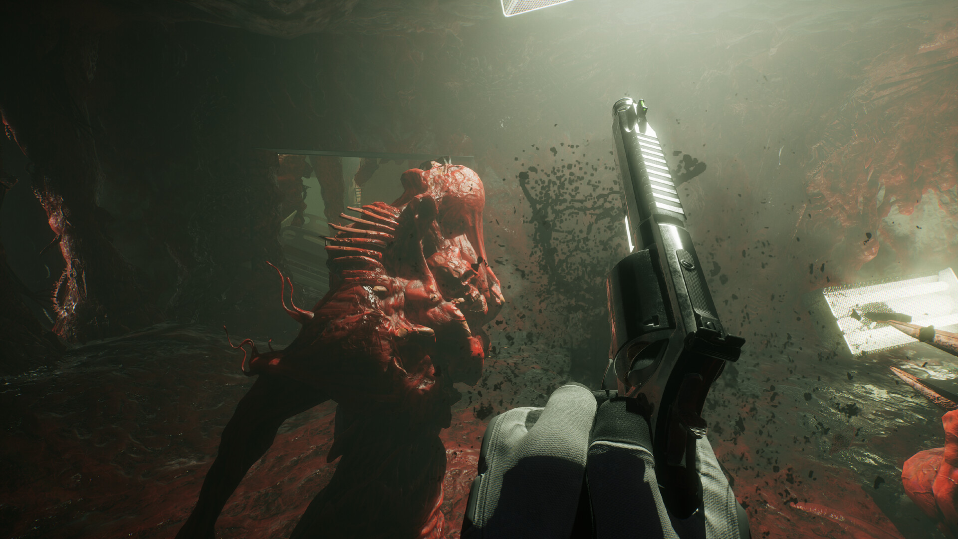 SCP 5K v0.16.1.35 免安装中文版